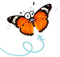 papillon cool ton émotion